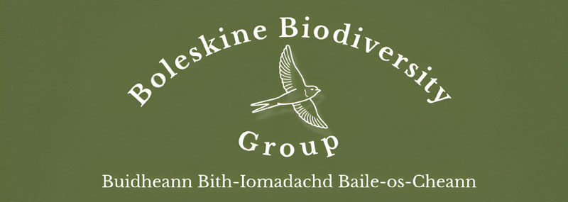 Boleskine Biodiversity Group logo