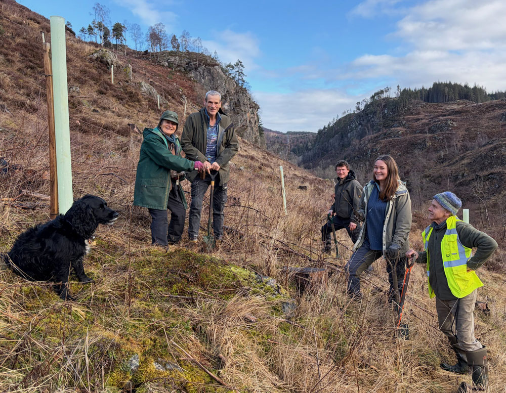 Aspen planters Gleann Liath