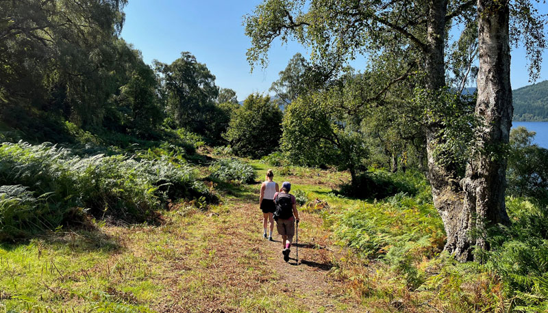 Proposed site of power station within Ness Woods